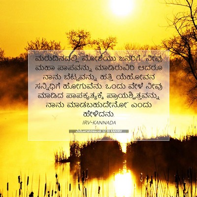 Picture 07 - ವಿಮೋಚನಕಾಂಡ 32:30 KANIRV - ಮರುದಿನದಲ್ಲಿ - Bible Verse Picture