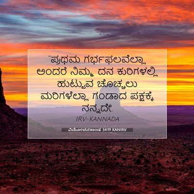 Picture 07 - ವಿಮೋಚನಕಾಂಡ 34:19 KANIRV - “ಪ್ರಥಮ - Bible Verse Picture
