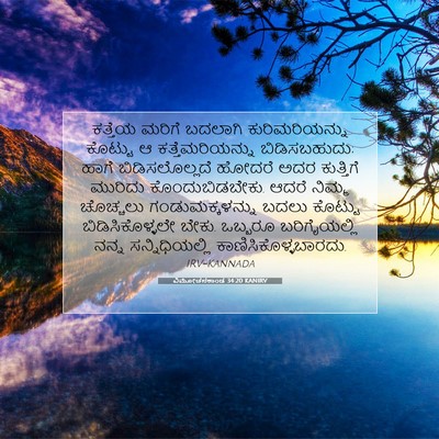 Picture 07 - ವಿಮೋಚನಕಾಂಡ 34:20 KANIRV - ಕತ್ತೆಯ ಮರಿಗೆ - Bible Verse Picture