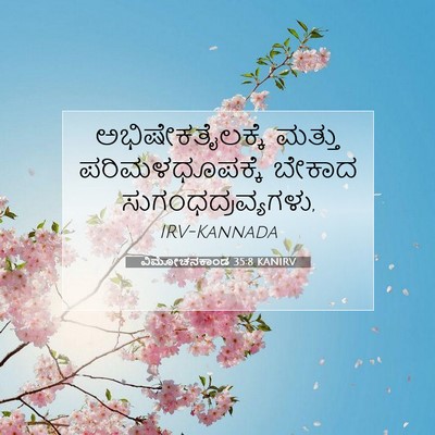 Picture 07 - ವಿಮೋಚನಕಾಂಡ 35:8 KANIRV - ಅಭಿಷೇಕತೈಲಕ್ಕೆ - Bible Verse Picture