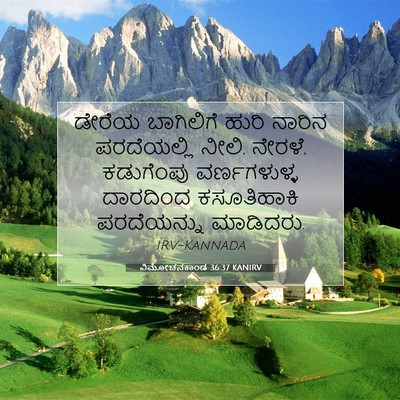 Picture 07 - ವಿಮೋಚನಕಾಂಡ 36:37 KANIRV - ಡೇರೆಯ ಬಾಗಿಲಿಗೆ - Bible Verse Picture