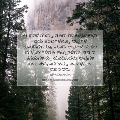 Picture 07 - ವಿಮೋಚನಕಾಂಡ 36:38 KANIRV - ಆ ಪರದೆಯನ್ನು ತೂಗು - Bible Verse Picture