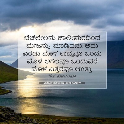 Picture 07 - ವಿಮೋಚನಕಾಂಡ 37:10 KANIRV - ಬೆಚಲೇಲನು - Bible Verse Picture