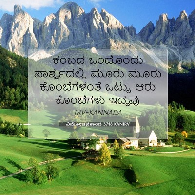 Picture 07 - ವಿಮೋಚನಕಾಂಡ 37:18 KANIRV - ಕಂಬದ ಒಂದೊಂದು - Bible Verse Picture