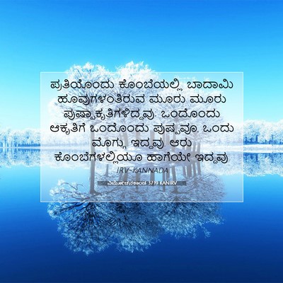 Picture 07 - ವಿಮೋಚನಕಾಂಡ 37:19 KANIRV - ಪ್ರತಿಯೊಂದು - Bible Verse Picture