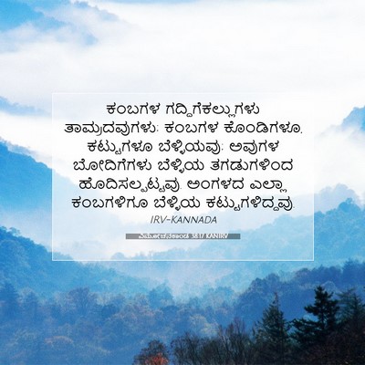 Picture 07 - ವಿಮೋಚನಕಾಂಡ 38:17 KANIRV - ಕಂಬಗಳ - Bible Verse Picture