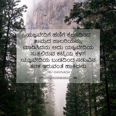 Picture 07 - ವಿಮೋಚನಕಾಂಡ 38:4 KANIRV - ಯಜ್ಞವೇದಿಗೆ ಹೆಣಿಗೆ - Bible Verse Picture