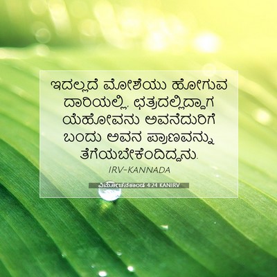 Picture 07 - ವಿಮೋಚನಕಾಂಡ 4:24 KANIRV - ಇದಲ್ಲದೆ ಮೋಶೆಯು - Bible Verse Picture