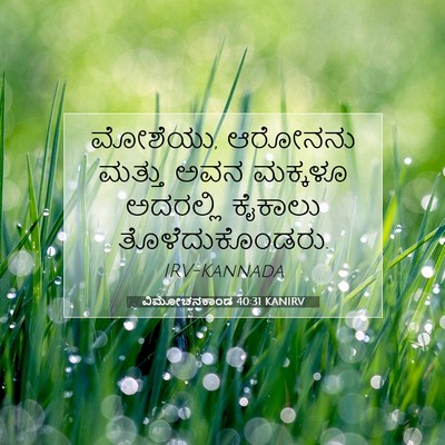Picture 07 - ವಿಮೋಚನಕಾಂಡ 40:31 KANIRV - ಮೋಶೆಯು, ಆರೋನನು - Bible Verse Picture