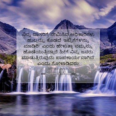 Picture 07 - ವಿಮೋಚನಕಾಂಡ 5:16 KANIRV - ನಿನ್ನ ದಾಸರಿಗೆ, - Bible Verse Picture