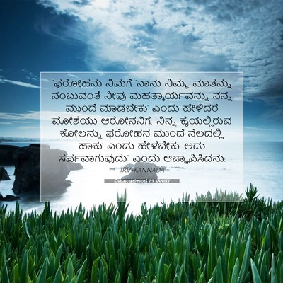 Picture 07 - ವಿಮೋಚನಕಾಂಡ 7:9 KANIRV - “ಫರೋಹನು ನಿಮಗೆ - Bible Verse Picture