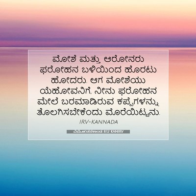 Picture 07 - ವಿಮೋಚನಕಾಂಡ 8:12 KANIRV - ಮೋಶೆ ಮತ್ತು ಆರೋನರು - Bible Verse Picture