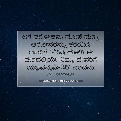 Picture 07 - ವಿಮೋಚನಕಾಂಡ 8:25 KANIRV - ಆಗ ಫರೋಹನು ಮೋಶೆ - Bible Verse Picture