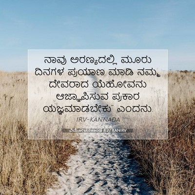 Picture 07 - ವಿಮೋಚನಕಾಂಡ 8:27 KANIRV - ನಾವು ಅರಣ್ಯದಲ್ಲಿ - Bible Verse Picture