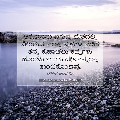 Picture 07 - ವಿಮೋಚನಕಾಂಡ 8:6 KANIRV - ಆರೋನನು ಐಗುಪ್ತ - Bible Verse Picture