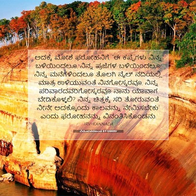Picture 07 - ವಿಮೋಚನಕಾಂಡ 8:9 KANIRV - ಅದಕ್ಕೆ ಮೋಶೆ - Bible Verse Picture