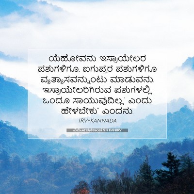 Picture 07 - ವಿಮೋಚನಕಾಂಡ 9:4 KANIRV - ಯೆಹೋವನು ಇಸ್ರಾಯೇಲರ - Bible Verse Picture