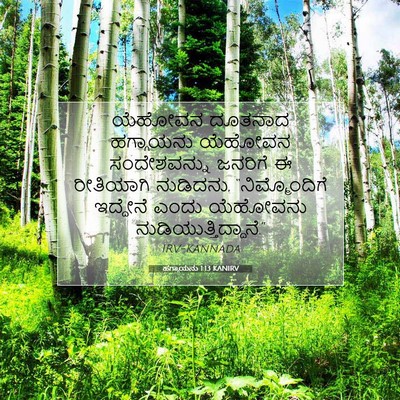 Picture 07 - ಹಗ್ಗಾಯನು 1:13 KANIRV - ಯೆಹೋವನ ದೂತನಾದ - Bible Verse Picture