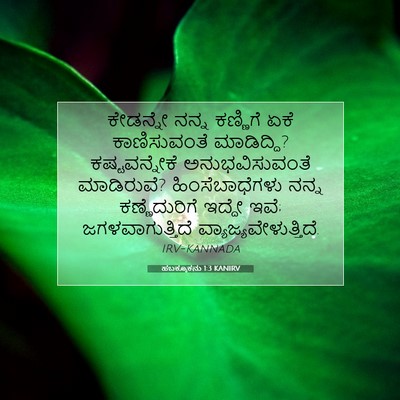 Picture 07 - ಹಬಕ್ಕೂಕನು 1:3 KANIRV - ಕೇಡನ್ನೇ ನನ್ನ - Bible Verse Picture