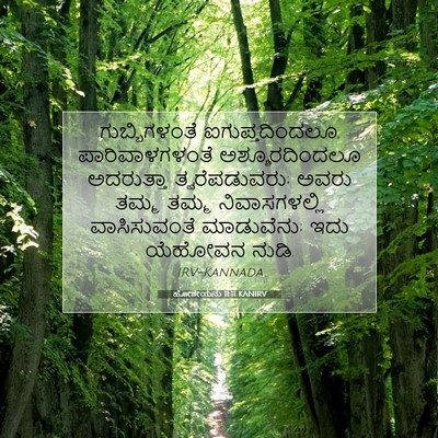 Picture 07 - ಹೋಶೇಯನು 11:11 KANIRV - ಗುಬ್ಬಿಗಳಂತೆ - Bible Verse Picture
