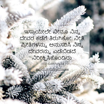 Picture 07 - ಹೋಶೇಯನು 12:6 KANIRV - ಇಸ್ರಾಯೇಲೇ, ನೀನೂ - Bible Verse Picture