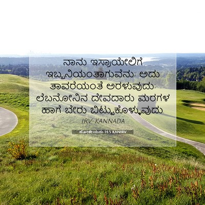 Picture 07 - ಹೋಶೇಯನು 14:5 KANIRV - ನಾನು ಇಸ್ರಾಯೇಲಿಗೆ - Bible Verse Picture