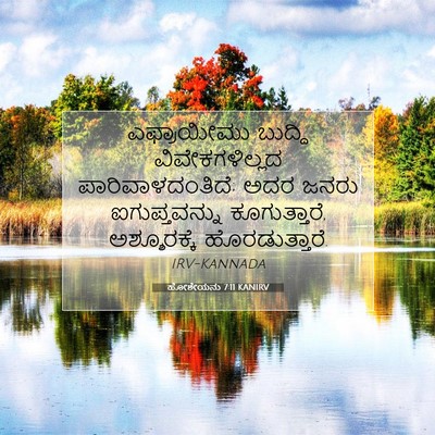 Picture 07 - ಹೋಶೇಯನು 7:11 KANIRV - ಎಫ್ರಾಯೀಮು ಬುದ್ಧಿ - Bible Verse Picture
