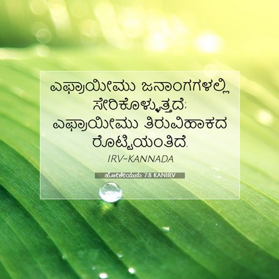 Picture 07 - ಹೋಶೇಯನು 7:8 KANIRV - ಎಫ್ರಾಯೀಮು - Bible Verse Picture