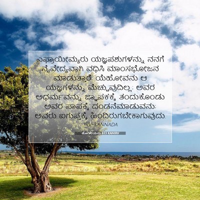 Picture 07 - ಹೋಶೇಯನು 8:13 KANIRV - ಎಫ್ರಾಯೀಮ್ಯರು - Bible Verse Picture