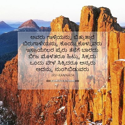 Picture 07 - ಹೋಶೇಯನು 8:7 KANIRV - ಅವರು ಗಾಳಿಯನ್ನು - Bible Verse Picture