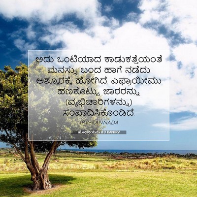Picture 07 - ಹೋಶೇಯನು 8:9 KANIRV - ಅದು ಒಂಟಿಯಾದ - Bible Verse Picture
