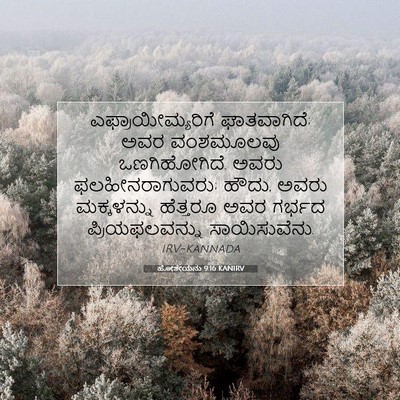 Picture 07 - ಹೋಶೇಯನು 9:16 KANIRV - ಎಫ್ರಾಯೀಮ್ಯರಿಗೆ - Bible Verse Picture