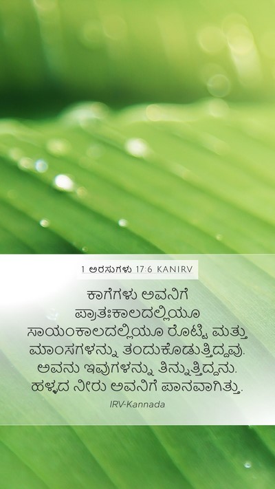 1 ಅರಸುಗಳು 17:6 KANIRV Bible Verse Image