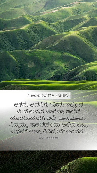 1 ಅರಸುಗಳು 17:9 KANIRV Bible Verse Image