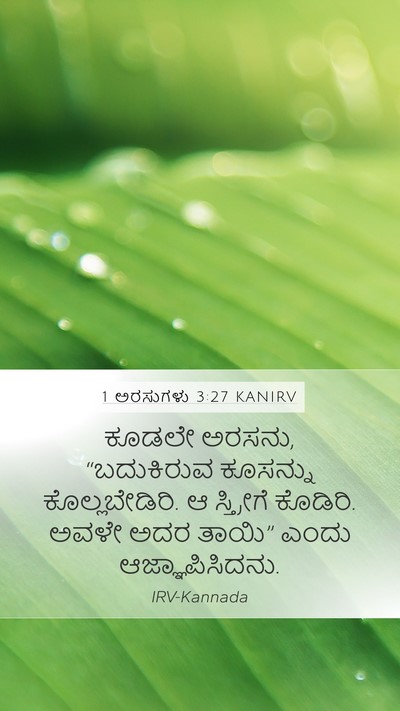 1 ಅರಸುಗಳು 3:27 KANIRV Mobile Phone Wallpaper - ಕೂಡಲೇ ಅರಸನು, - Mobile Bible Verse Wallpaper