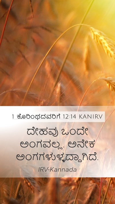 1 ಕೊರಿಂಥದವರಿಗೆ 12:14 KANIRV Bible Verse Image