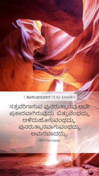 1 ಕೊರಿಂಥದವರಿಗೆ 15:42 KANIRV Bible Verse Image