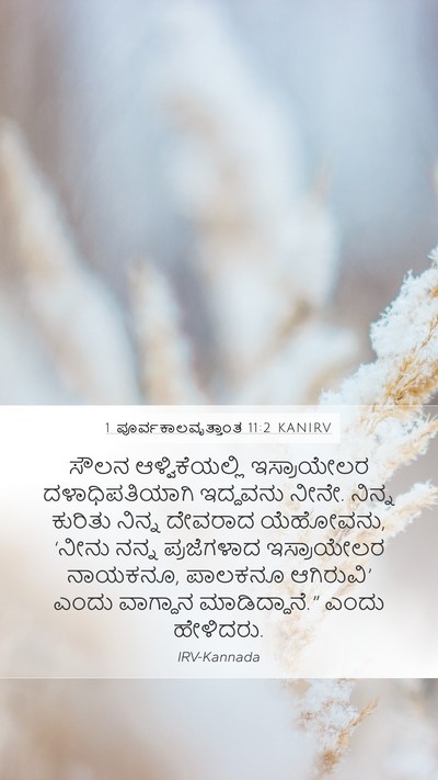 1 ಪೂರ್ವಕಾಲವೃತ್ತಾಂತ 11:2 KANIRV Bible Verse Image