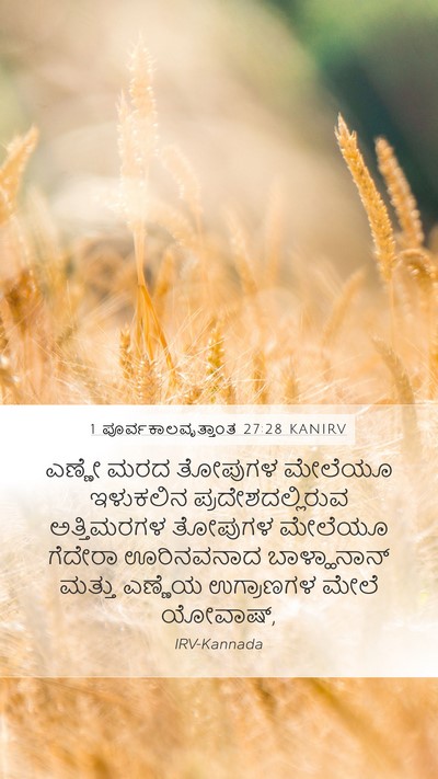 1 ಪೂರ್ವಕಾಲವೃತ್ತಾಂತ 27:28 KANIRV Bible Verse Image