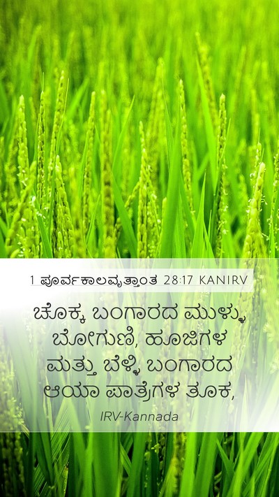 1 ಪೂರ್ವಕಾಲವೃತ್ತಾಂತ 28:17 KANIRV Bible Verse Image