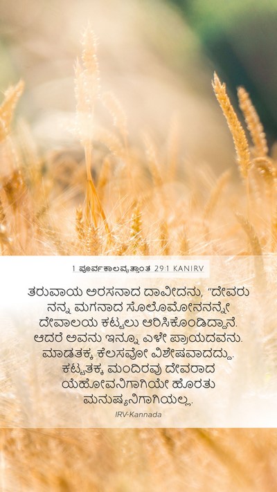1 ಪೂರ್ವಕಾಲವೃತ್ತಾಂತ 29:1 KANIRV Bible Verse Image