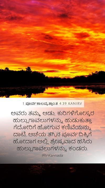 1 ಪೂರ್ವಕಾಲವೃತ್ತಾಂತ 4:39 KANIRV Bible Verse Image