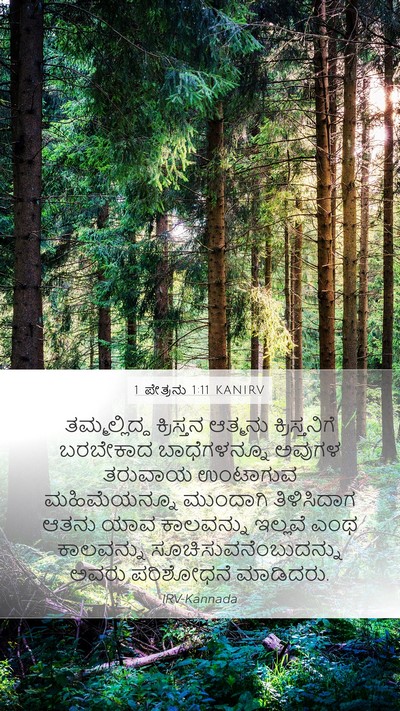 1 ಪೇತ್ರನು 1:11 KANIRV Bible Verse Image