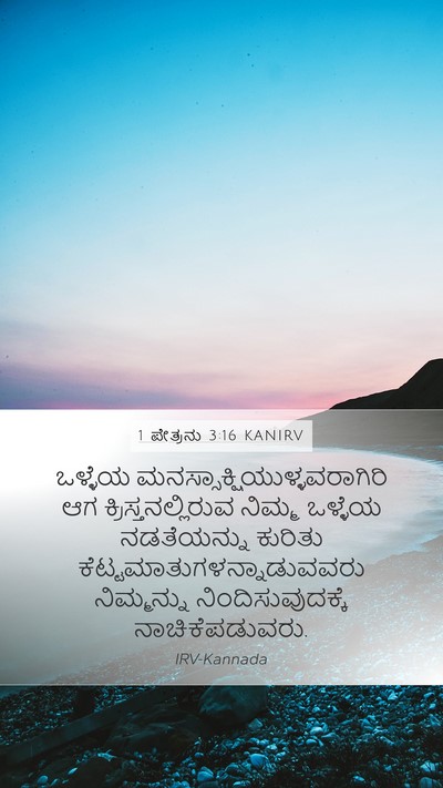 1 ಪೇತ್ರನು 3:16 KANIRV Bible Verse Image
