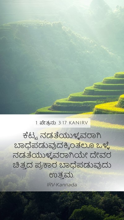 1 ಪೇತ್ರನು 3:17 KANIRV Bible Verse Image