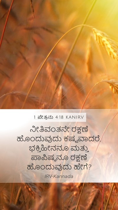 1 ಪೇತ್ರನು 4:18 KANIRV Mobile Phone Wallpaper - ನೀತಿವಂತನೇ ರಕ್ಷಣೆ - Mobile Bible Verse Wallpaper