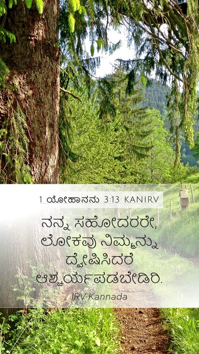 1 ಯೋಹಾನನು 3:13 KANIRV Bible Verse Image