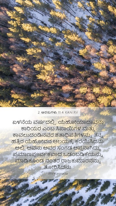 2 ಅರಸುಗಳು 11:4 KANIRV Bible Verse Image