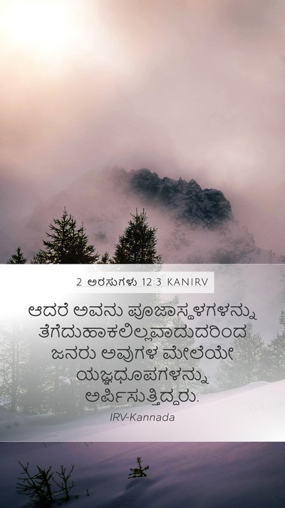 2 ಅರಸುಗಳು 12:3 KANIRV Bible Verse Image