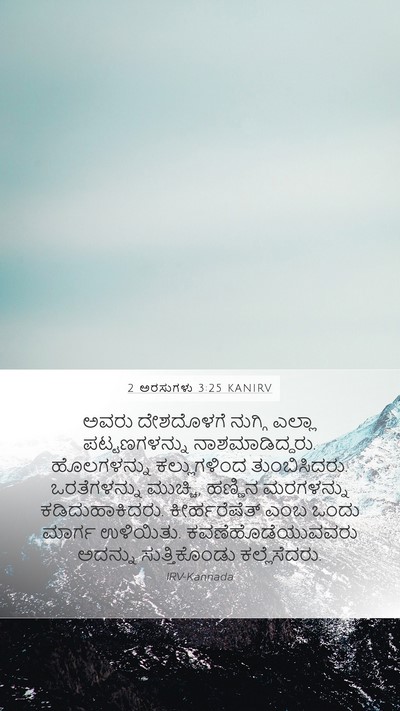 2 ಅರಸುಗಳು 3:25 KANIRV Bible Verse Image